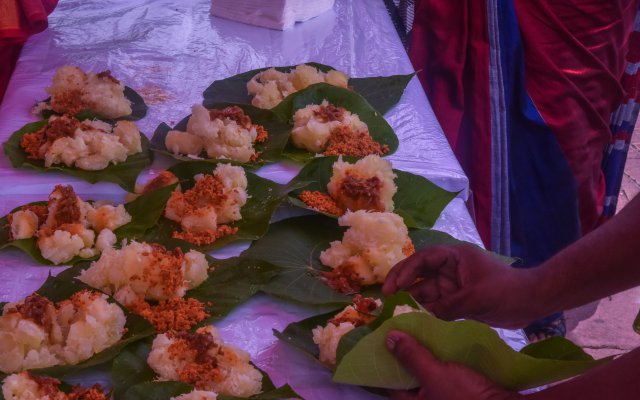 Dansal Program